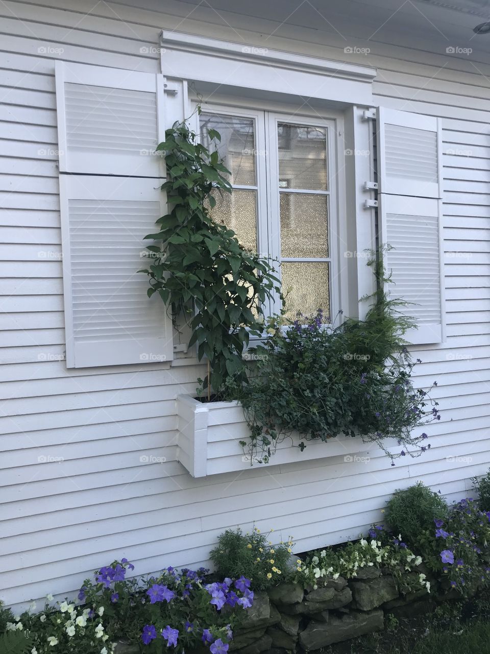 Pretty greenery by a beautiful window in front of a old house