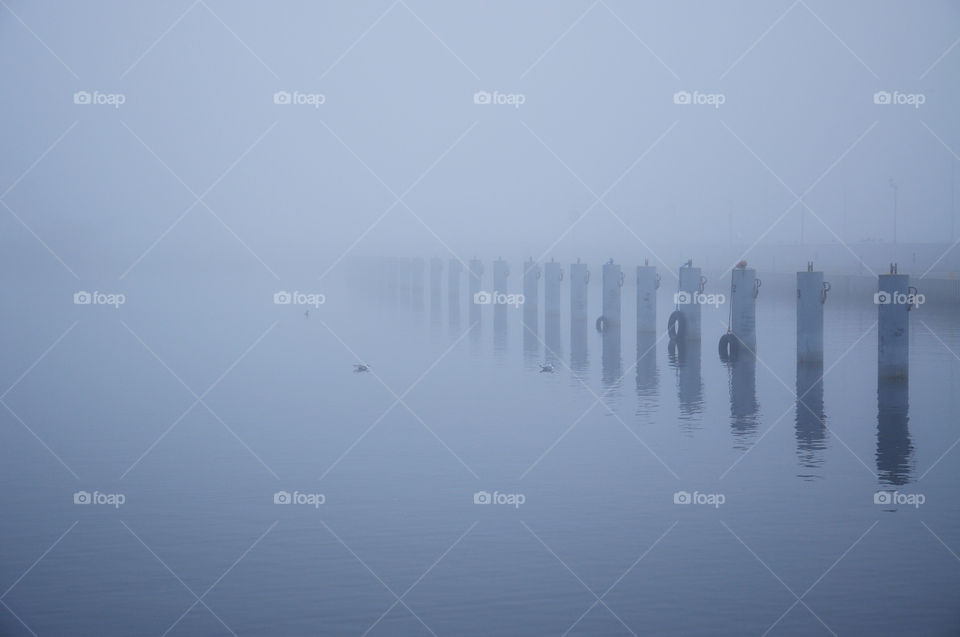 foggy winter morning