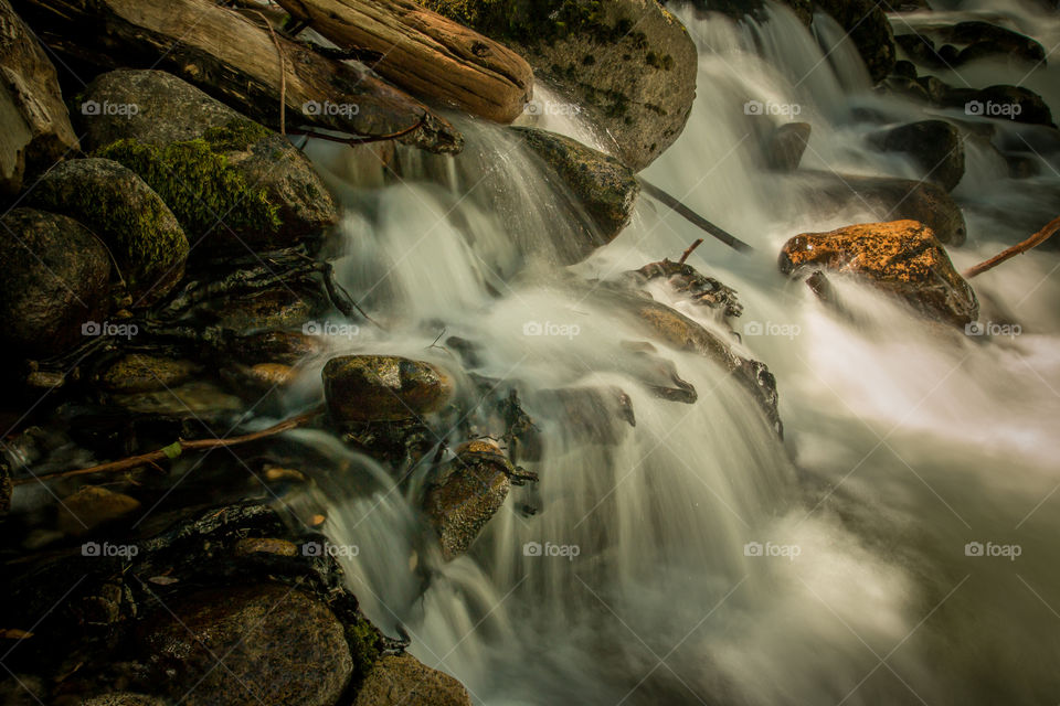 Small flowing stream 