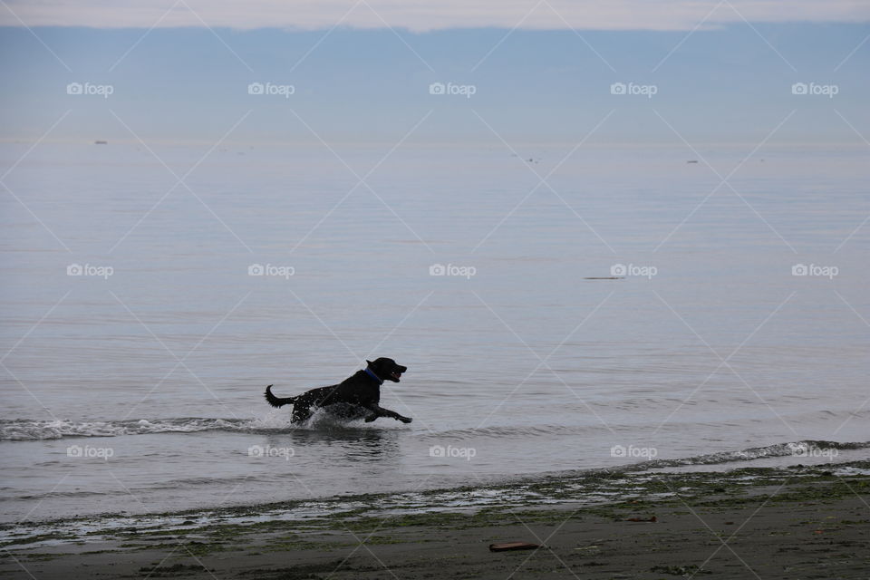 On the beaches