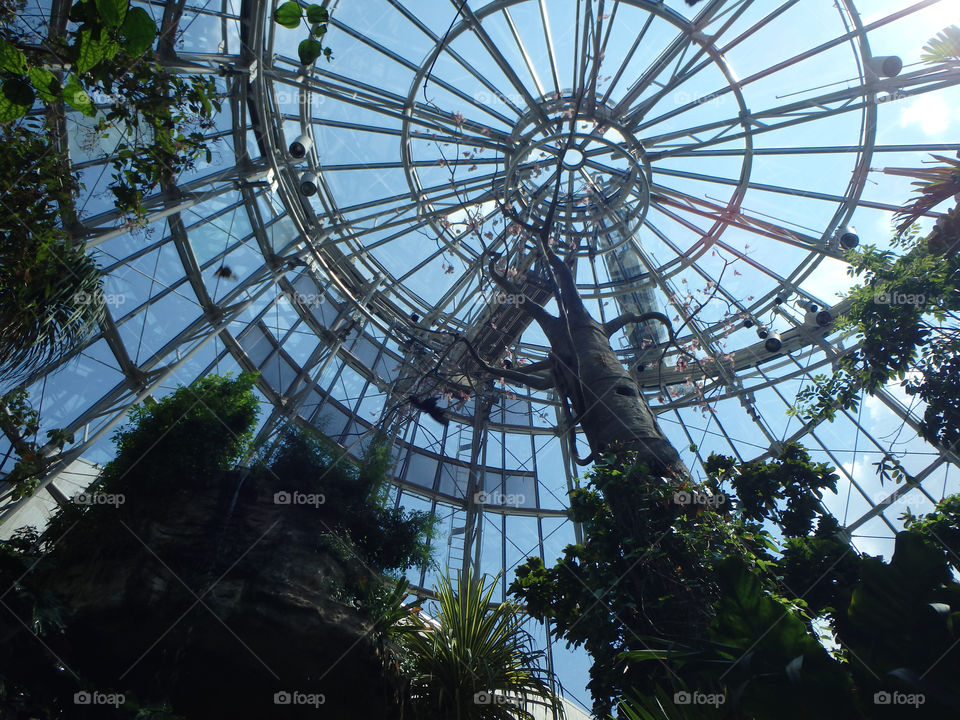 Cockrell Butterfly Center