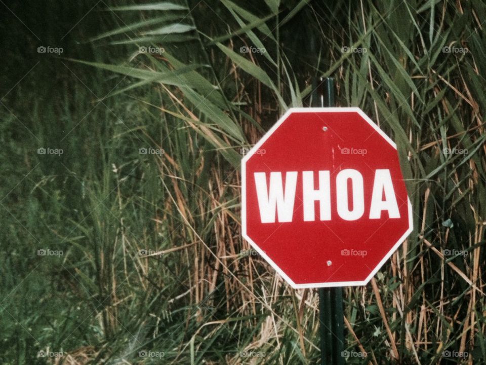 Whoa Stop Sign