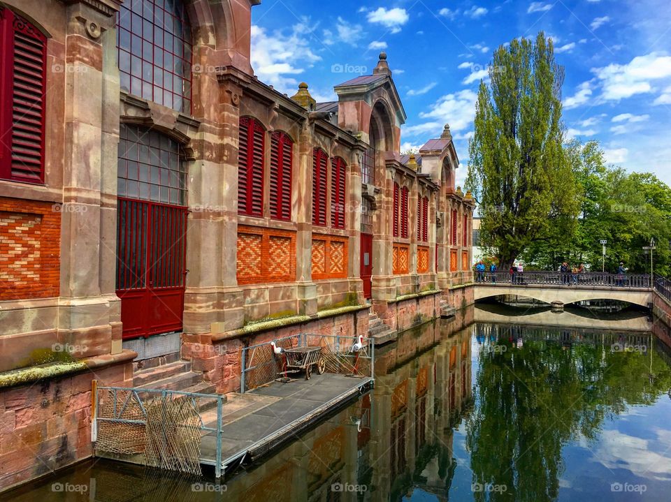 Colmar canal 