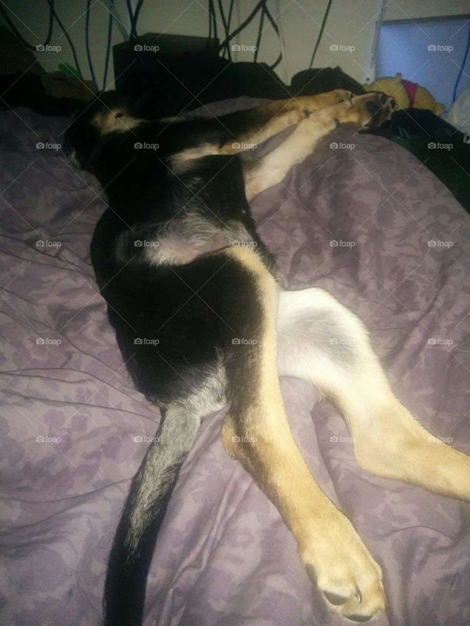 Kika stretching out