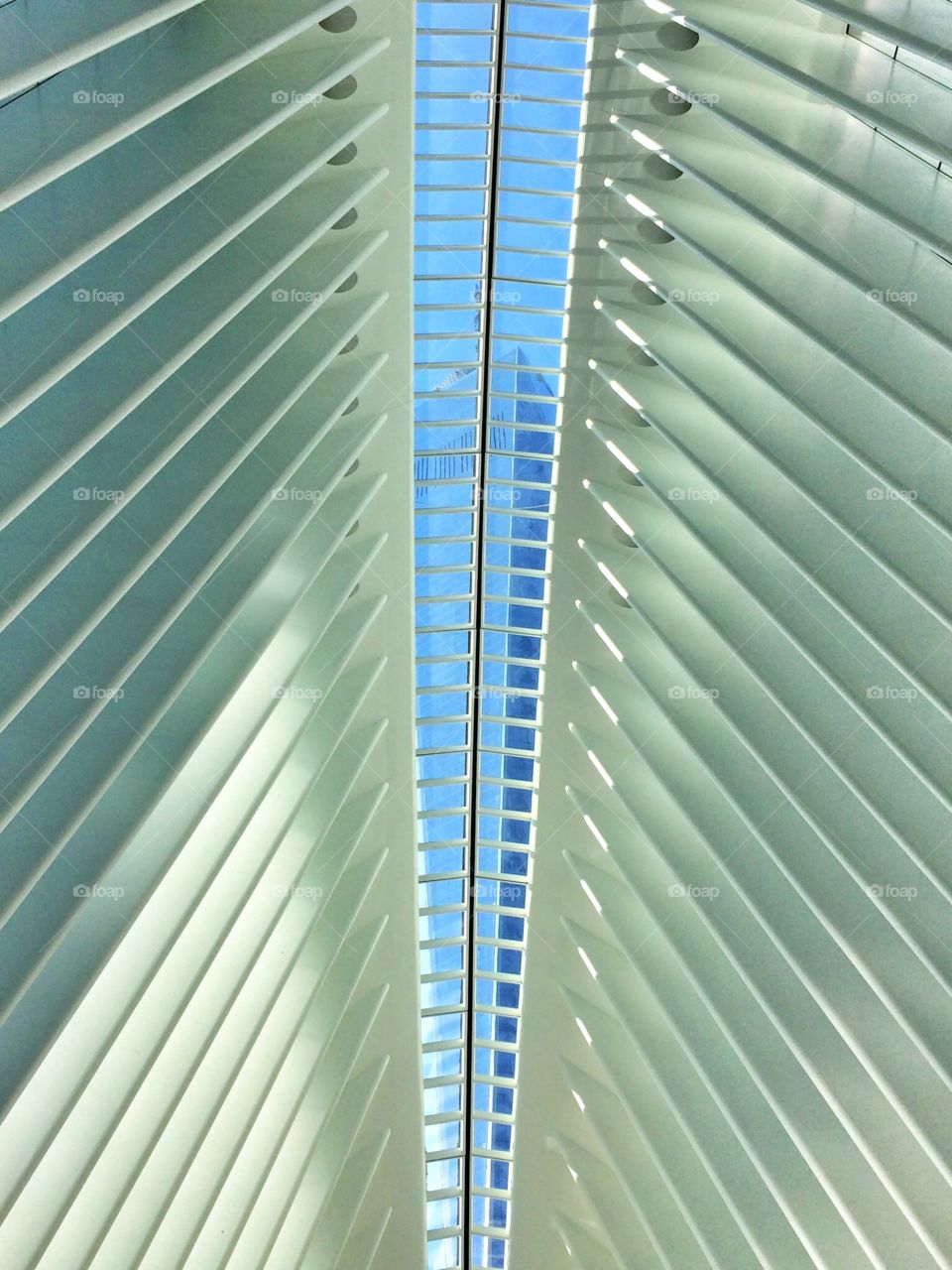 Oculus building with Freedom Tower, new york city