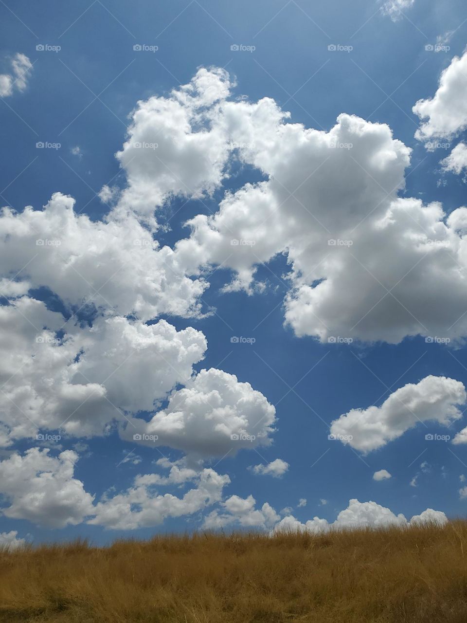 clouds over dry golden grasslands