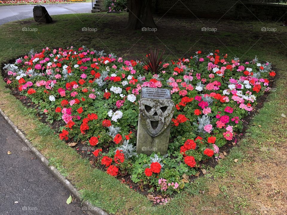 Last three photos of the gorgeous displays of flowers at Victoria Park, Bideford