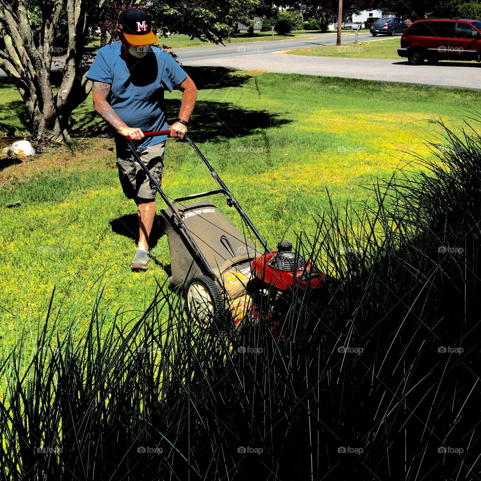 Mowing lawn under Maiden Grasses!