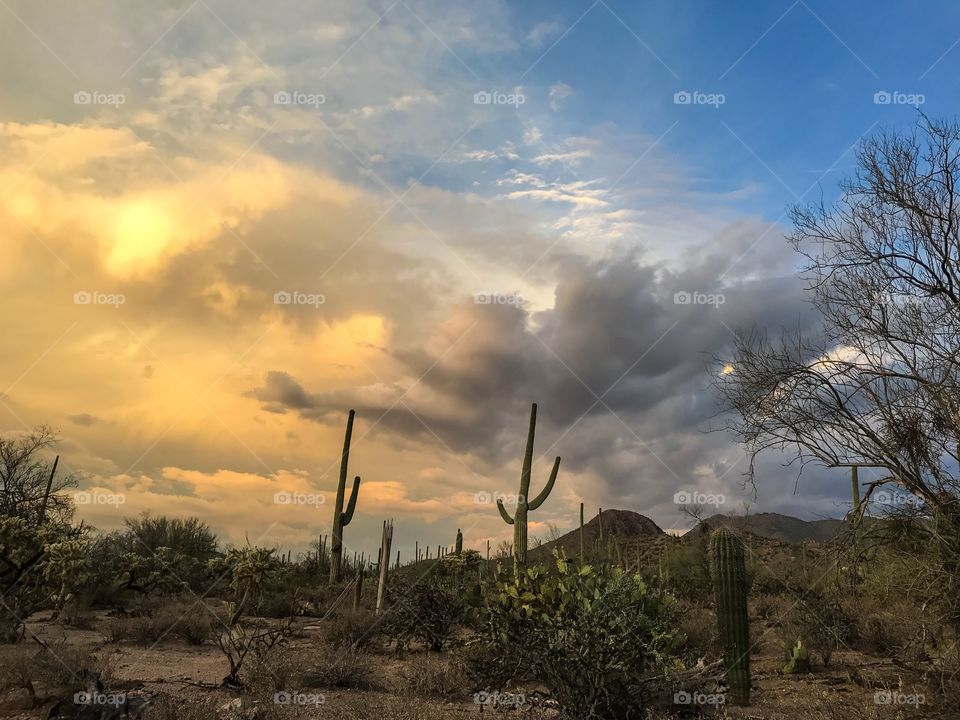 Desert Sky Landscape 