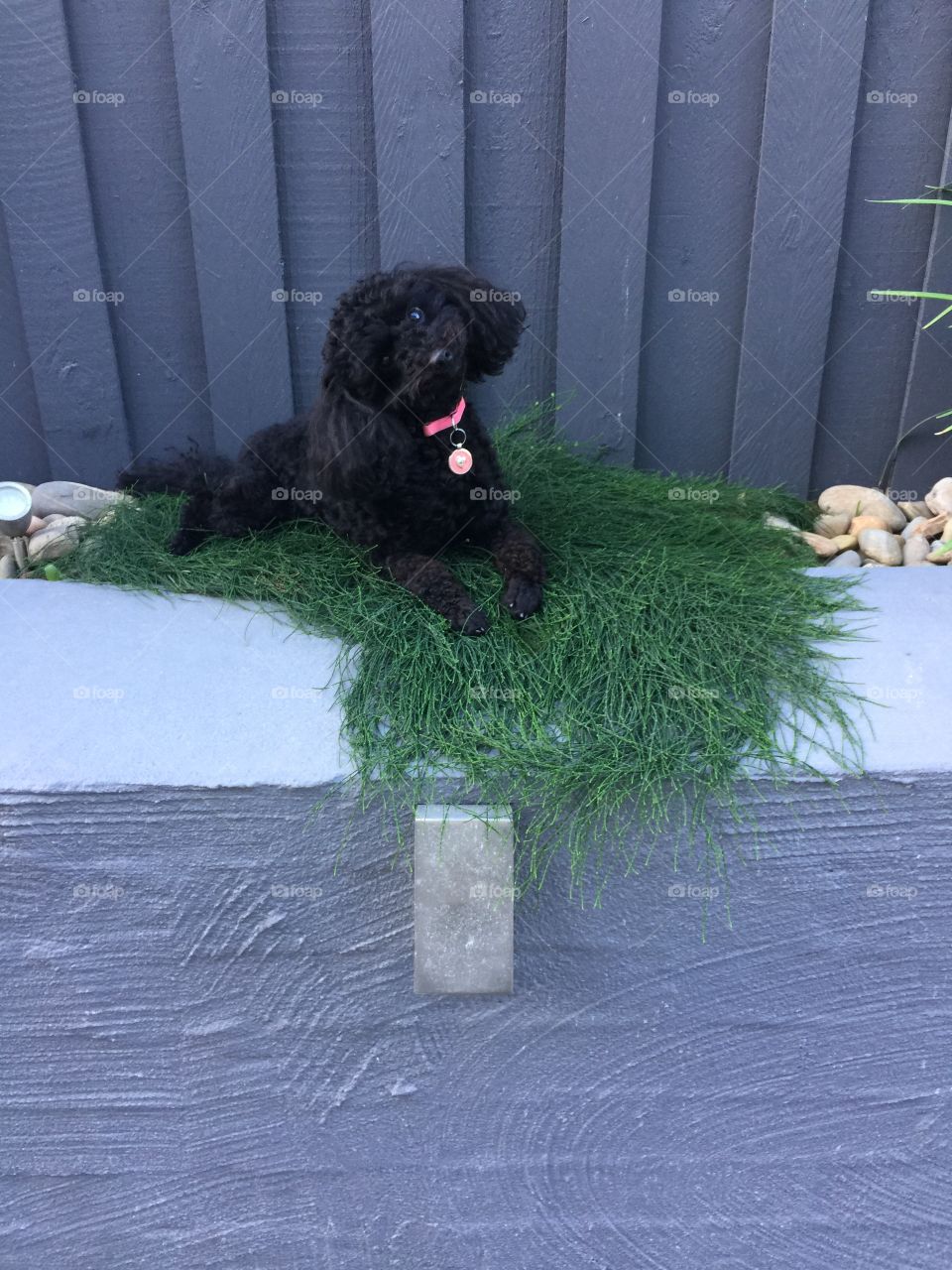 Did you say biscuits? 🍪