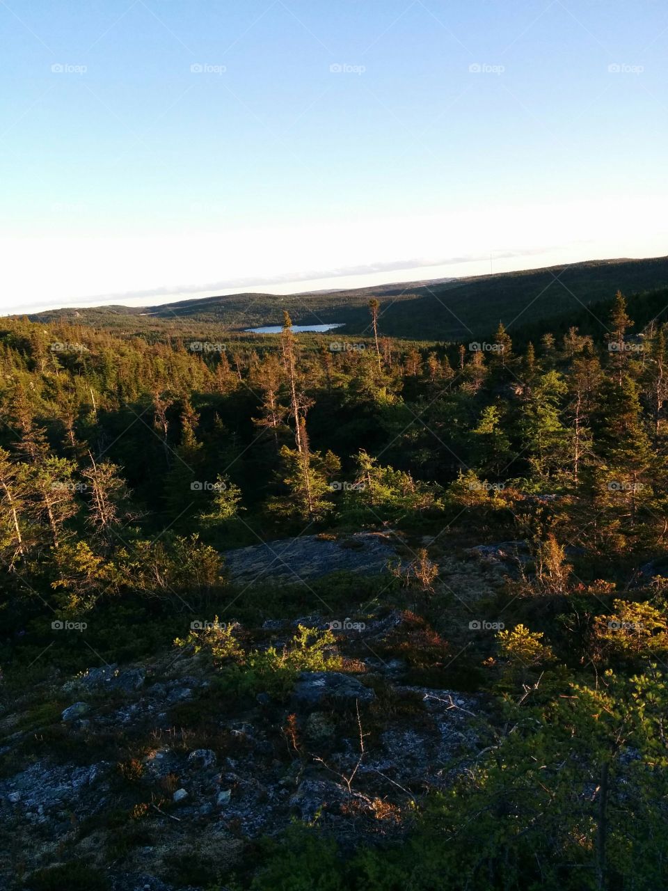 City Of Trees. Got lost in the forest to end up in a great view.
