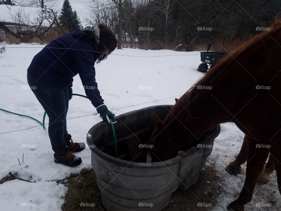 Giving water to the horses