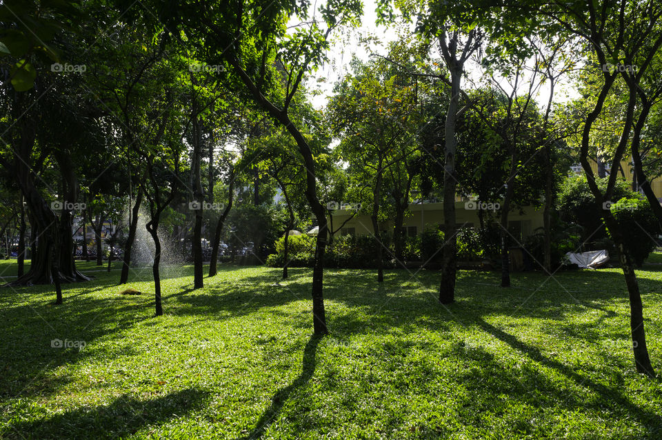 Park in Ho Chi Minh City