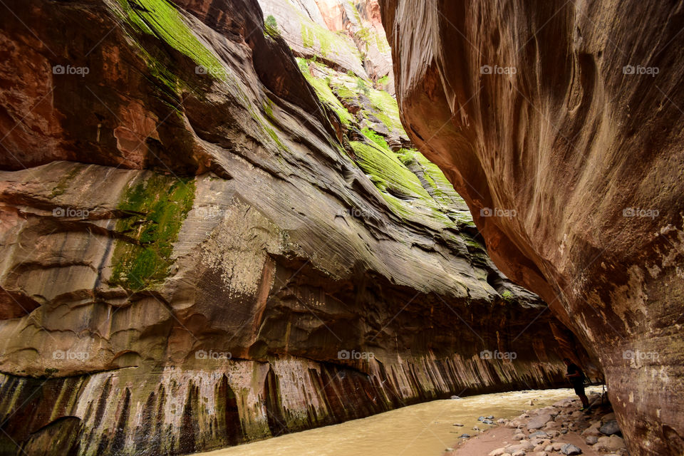 Narrows Zion National Park
