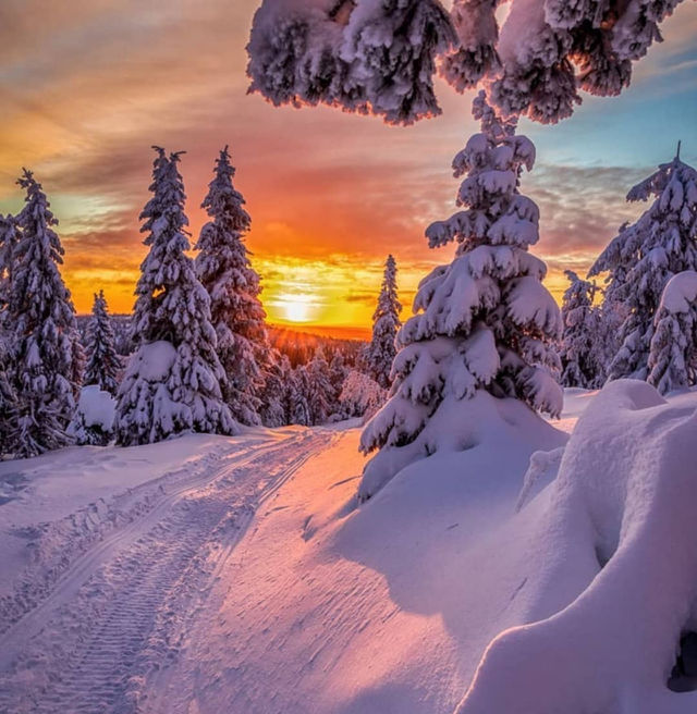 Wonderful Frosty Finish Sunset