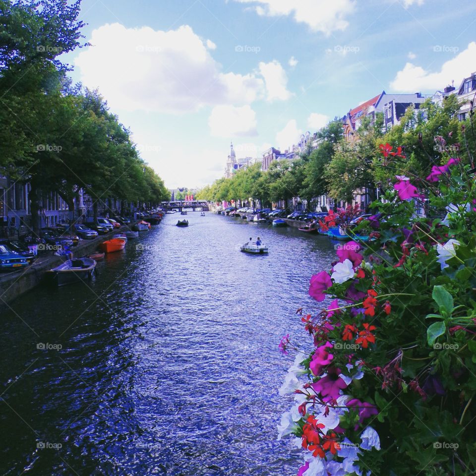 Casual day in Amsterdam