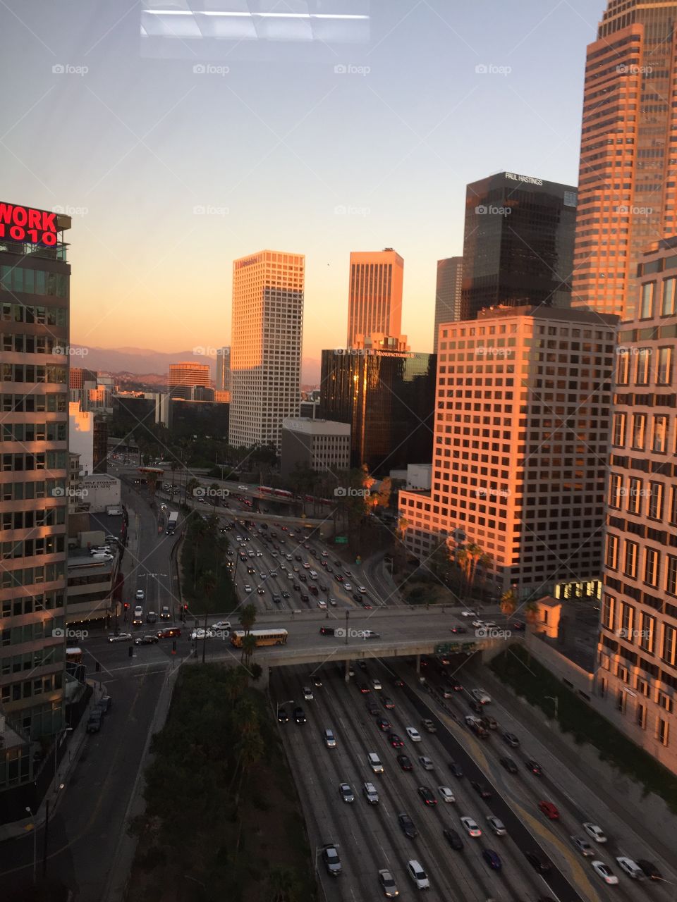 View from the office