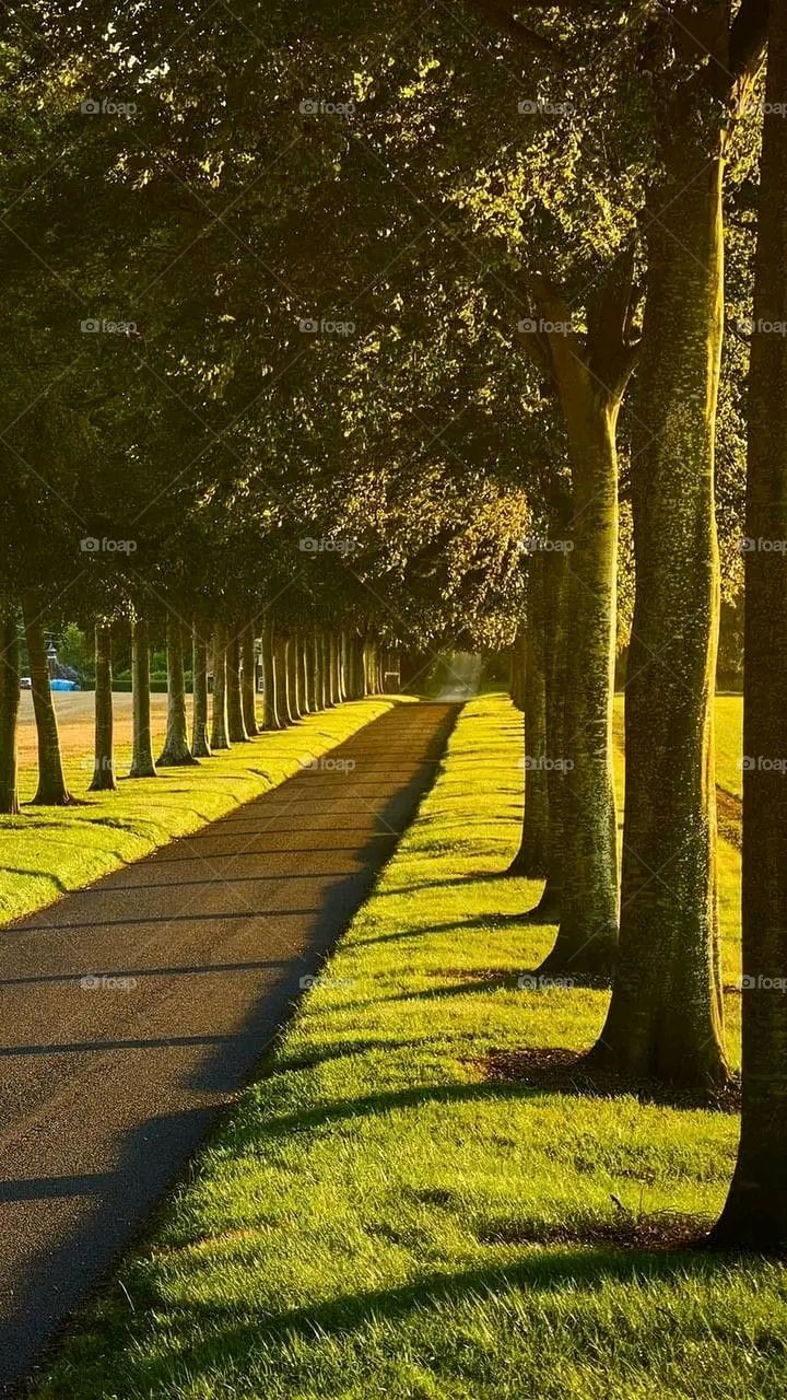 A very beautiful picture, and there is no better picture than it. There is no better picture of green herbs and colorful, red and white roses than it. Glory be to God, the natural and picturesque view, and there is no more wonderful picture than it.