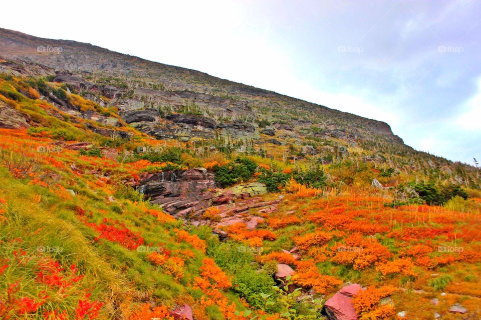 Autumn colors in the nature 