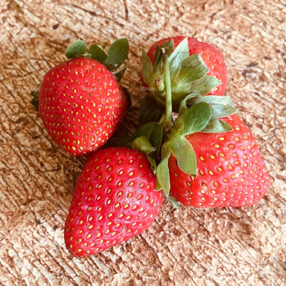 Namaku Strawberry - My Name Is Strawberry 