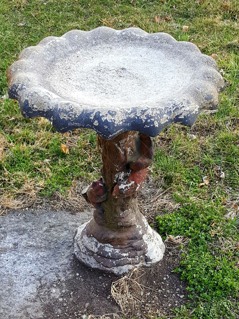 This old birdbath has been on our property since I can remember.