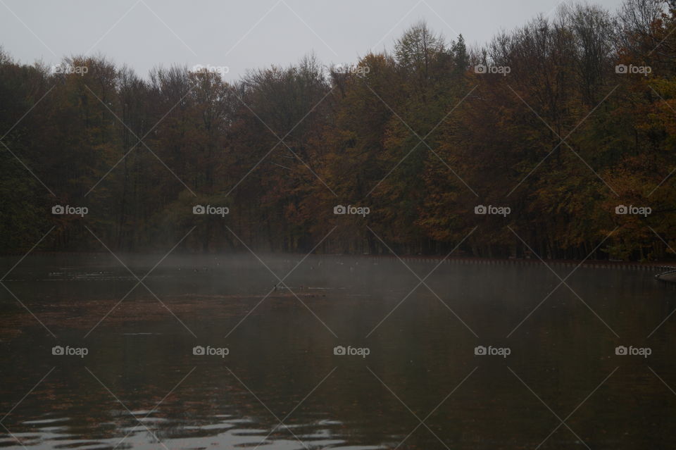 Herbststimmung