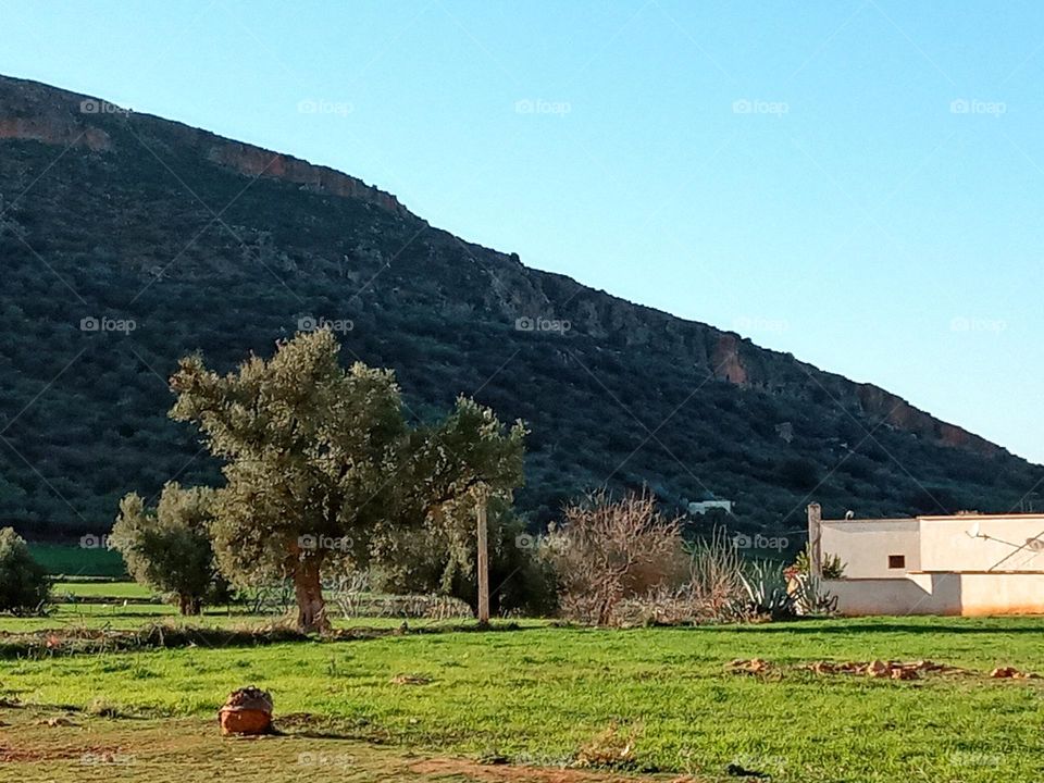 Population between the nature