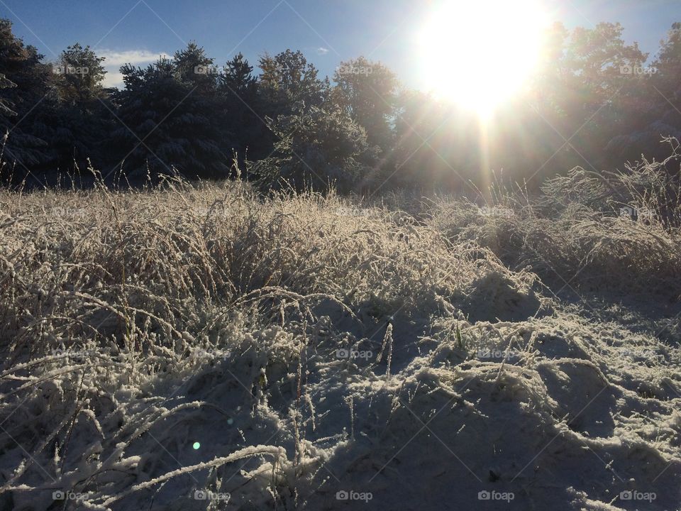 First snow sun