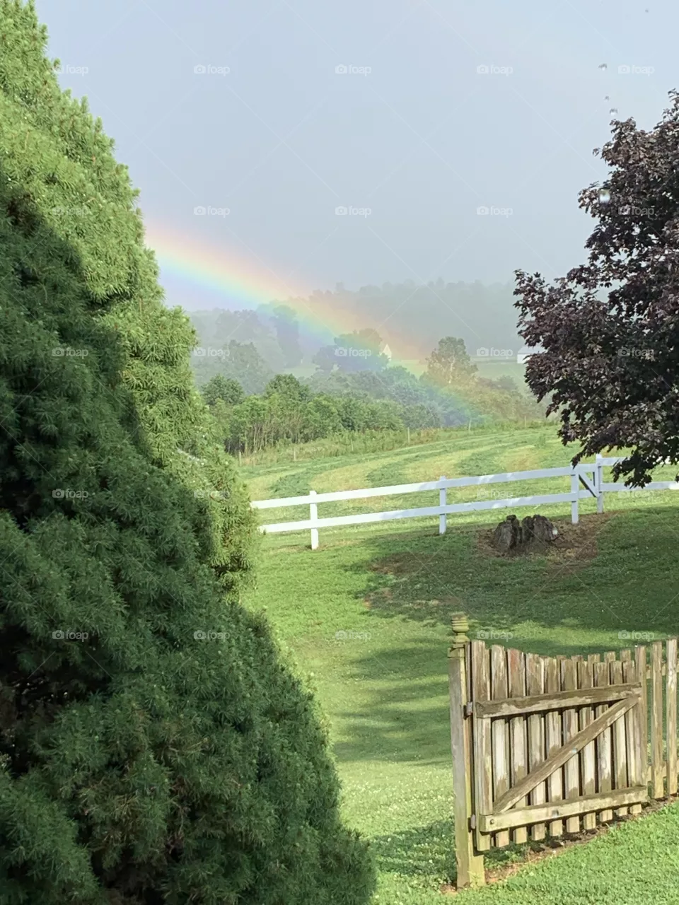Rainbow