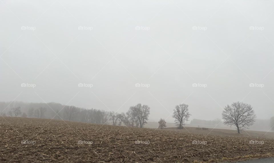 Looking out over a field on a rainy day