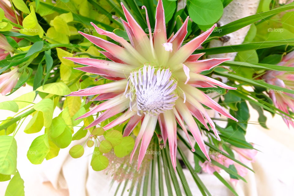 Floral arrangement