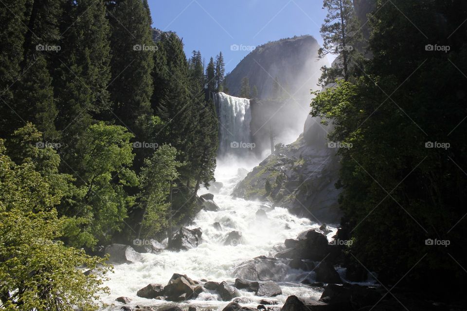 Waterfall in the forest