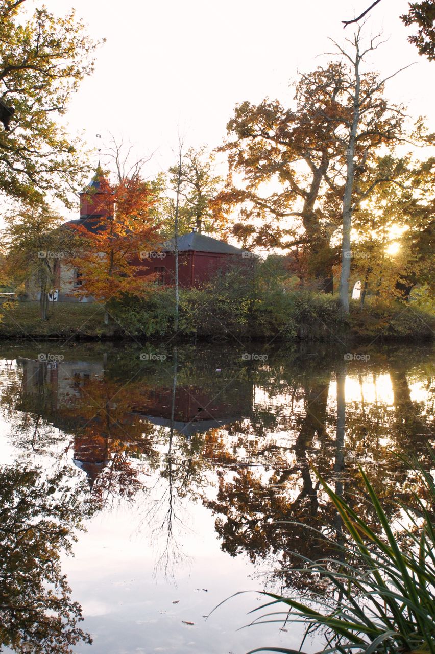 Autumn reflection 