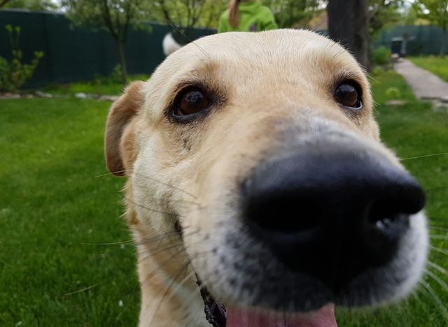 Best smile ever
