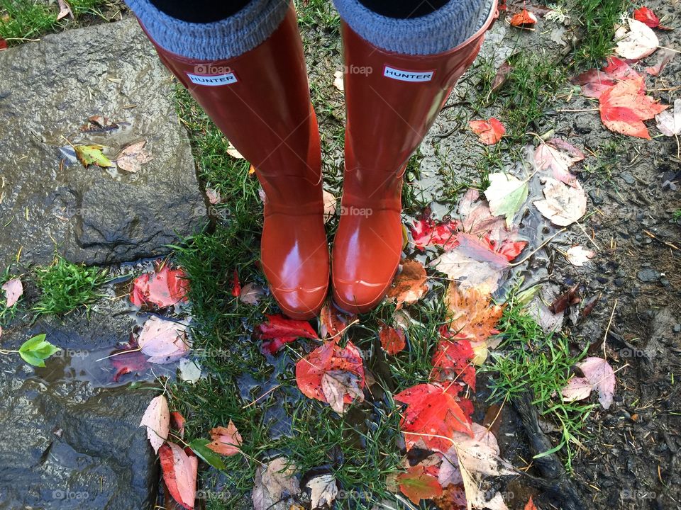 Hunter boots and matching fall leaves. 