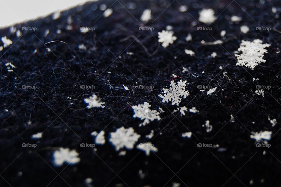 Close-up of snowflake