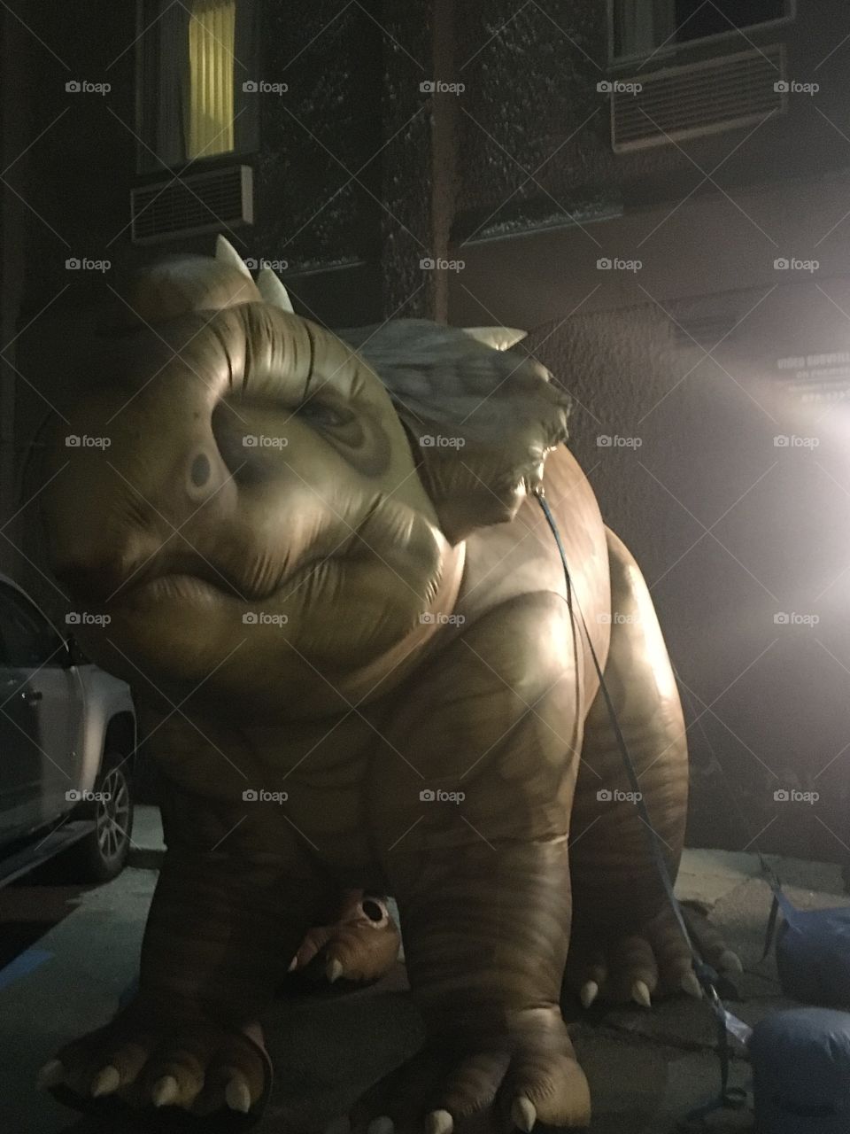 Triceratops inflatable at a museum fundraiser 