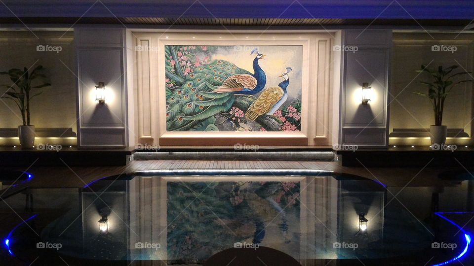 peacock chicken painting