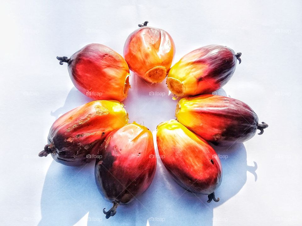 Palm kernel oil is processed into palm oil again processed into various products