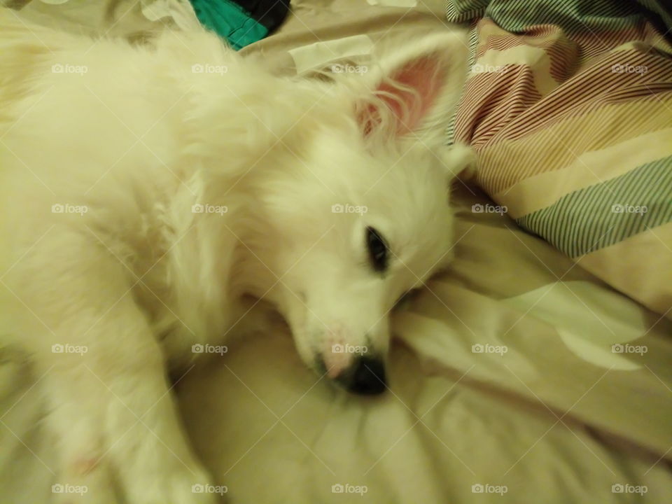 When its 9:00am and he's still sleeping...