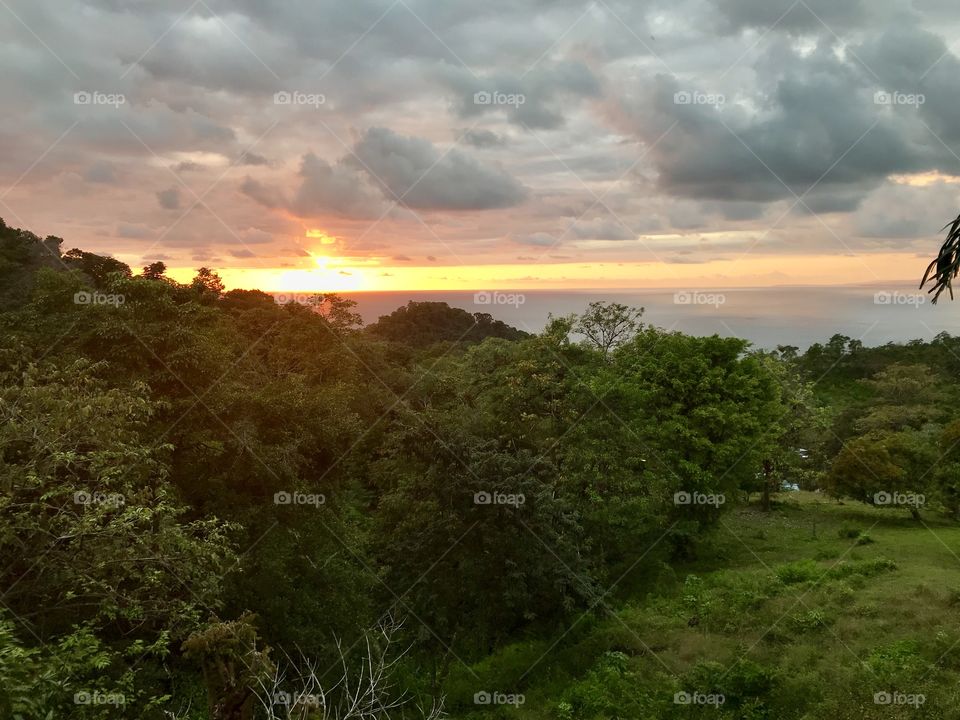 Sunset in the rainforest 