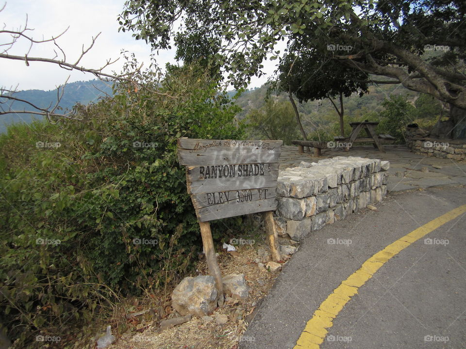 load leading through the Margalla Hills in Islamabad, Pakistan.