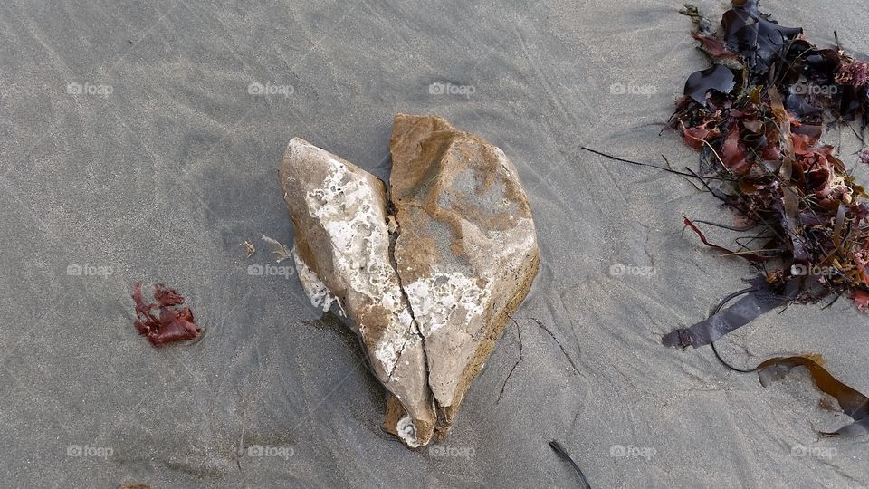 Heart shaped rock