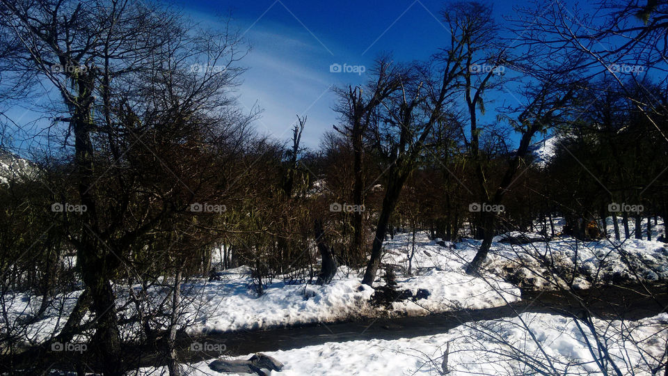 The river and snow