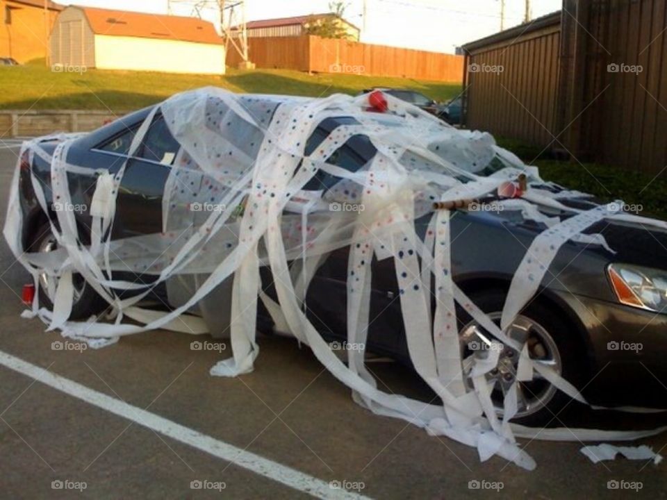 Toilet Paper Car