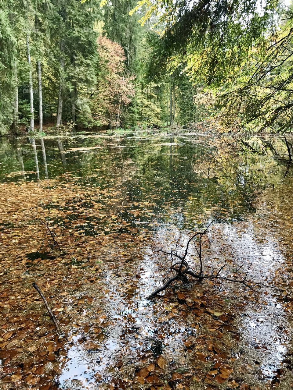 Steibachweiher 