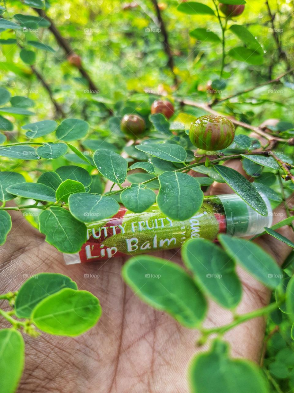 janet Tutti fruity Natural lip balm in my hand.