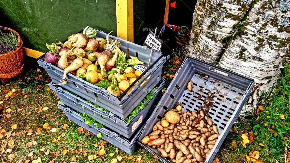 Autumn market. Food on autumn market!