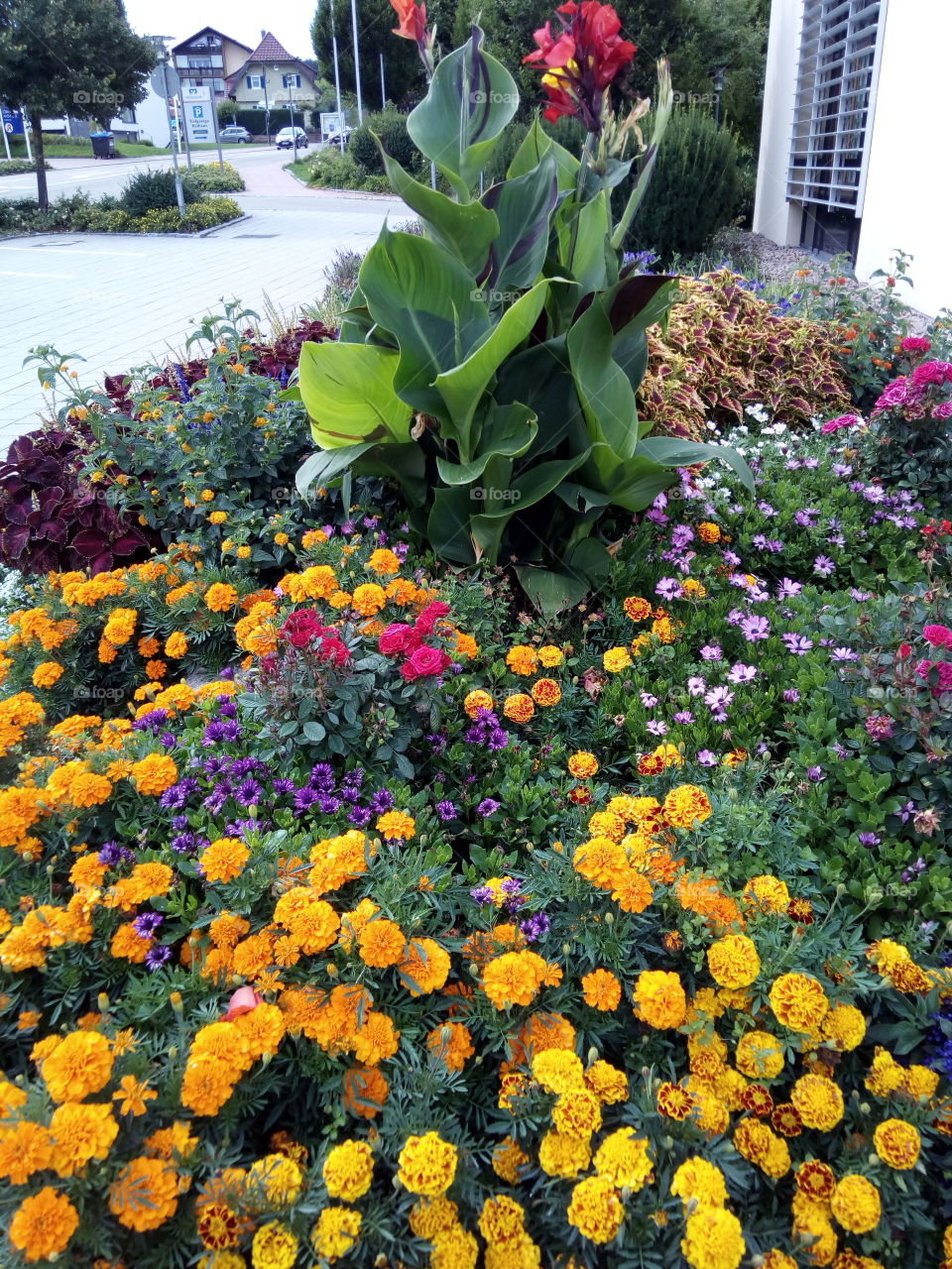 Lossburg in Schwarzwald