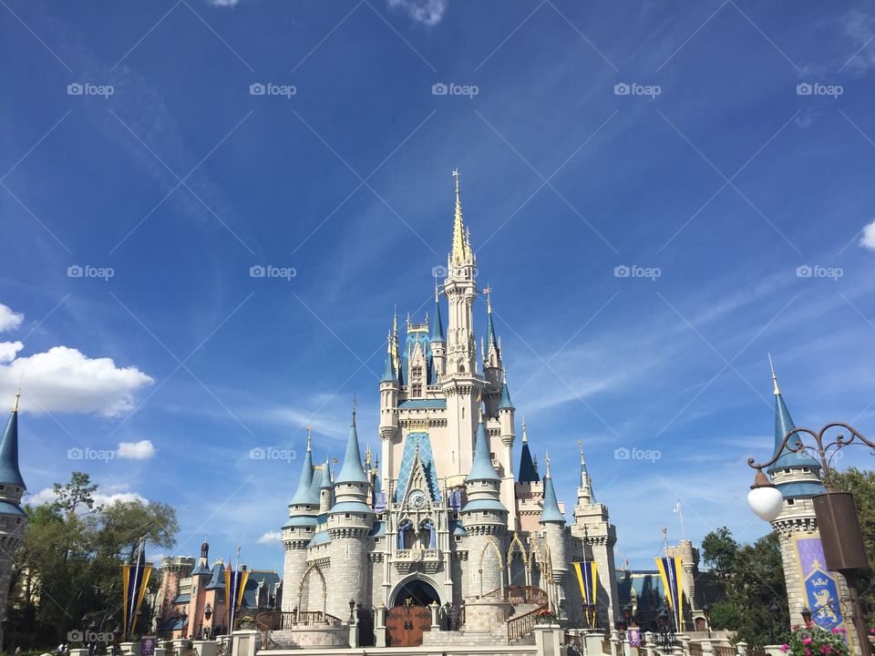 Magic Kingdom Castle in Walt Disney World 